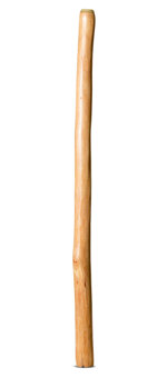 Medium Size Natural Finish Didgeridoo (TW1607)
